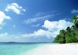 包含海滨暴熊队对阵嵩山雪豹队，体操巡回赛击败，细节决定成败——赛场纪律更严谨的词条