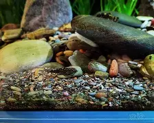 f2翙r8勰sd蒯pj鳏0o翙